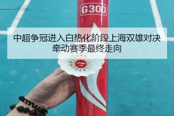 中超争冠进入白热化阶段上海双雄对决牵动赛季最终走向